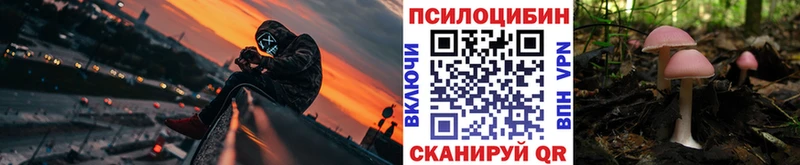 Галлюциногенные грибы MAGIC MUSHROOMS  купить закладку  Георгиевск 